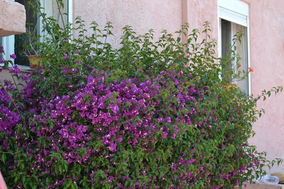 فندق أوتل برينسيس دازور سانت ماكسيم المظهر الخارجي الصورة